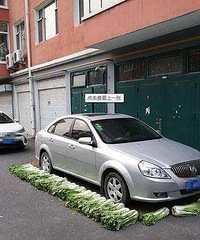 С���ĳ�λ̫���ţ����γ����ô�ײˣ��ڳ�ͣ��λ