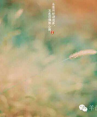 [24����]��¶һ��������ʽ������