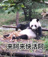 ���＾������⾰����������Ԫ�������get �����Ƽ�