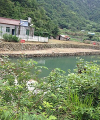 苔痕上阶绿  草色入帘青