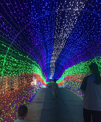 ����Ҫ���������ڡ��ƹ��㷴����