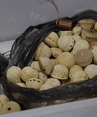 ����һ������֡�����Ĺ��ӡ���Ҫ��6000��ʲô������ô�󣿣�