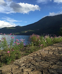 下了23天雨的泸沽湖  用美美的阳光迎接了我