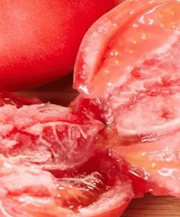 [��ʳ]�����е�����