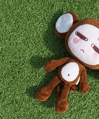 ����Ҫ����