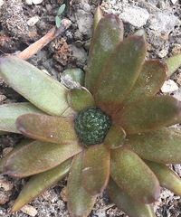 ����ʲô����