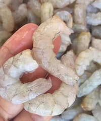 ��������ϵ�С����ֹ�Ϻ��