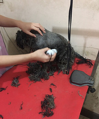 �����������Ѱ�����ˣ�������������ֻҪ�����þ��У�