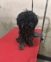 �����������Ѱ�����ˣ�������������ֻҪ�����þ��У�