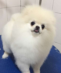 �����Ȯ�Ѳ�Ҫ���ź�Ҷ�վ�Ա��Ǽ���ν��