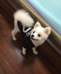 ���ų��ų�����