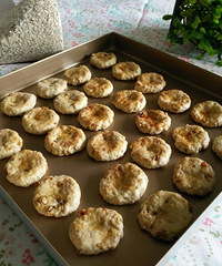 ���Ի���̨��No.11���������Ѹɺ��ұ�