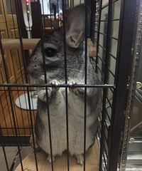 wuli֥���С����һ������