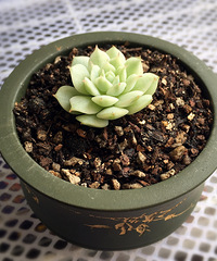 ���Ͼ�ҹ��