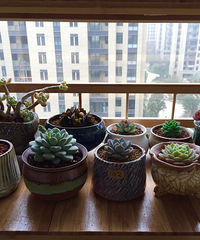 �������ڹ�ȥ���Ҵ��߿�ʼ����������