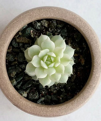 ���������Ͼ�ҹ��~