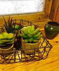 ����Ʊ���ɹ����