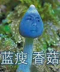 ���ƹ�չ��Ʊ������������ �㹽