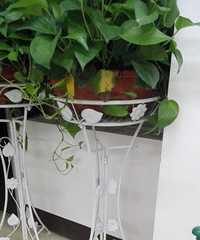 ��Ʊ���ɹɹ���еĻ���