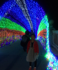 ����Ҫ���������ڡ��ƹ��������