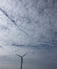 ���ƹ�չ��Ʊ������Ʊ