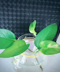 ��Ʊ���ɹ����֮����Сʱ��