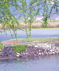 美好的人眼里到处是美景