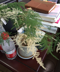 ����Ʊ�����ɫ�ٽ���