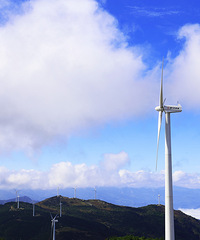 ������ƴ�糵