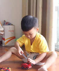 ��Ҫ����������������