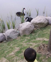 ���˺����