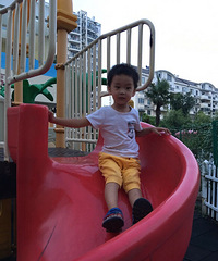 ��Ҫ����������������