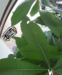 �ҵķ���������������