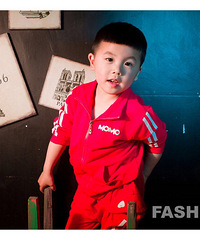 ��Ҫ����������������