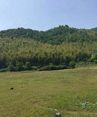 与友野饮  不留垃圾在现场