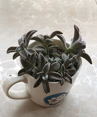 �Ҽҵ�����