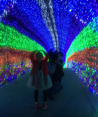 �ƹ�������������