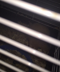 ��˿�����ˣ��ÿ���