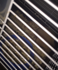 ��˿�����ˣ��ÿ���