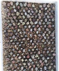 ����ʯ��������ƨ�ɻ�