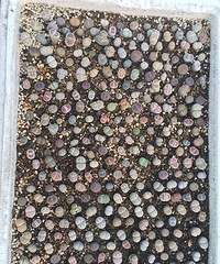 ����ʯ��������ƨ�ɻ�