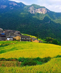 秋意浓——仙居公盂