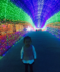 ����Ҫ���������ڡ�3D�ƹ��㷴����