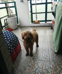 �³�Ա����