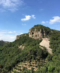 海上仙子国  邂逅寄孤蓬