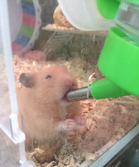 �����󣬶��Լ����ģ������б�֤���ɷ����