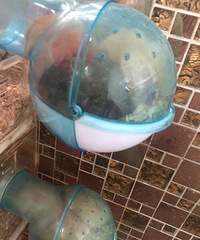 �����󣬶��Լ����ģ������б�֤���ɷ����