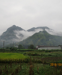 浓雾中探访黄岩大寺基风电场