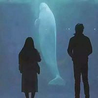 85�걾���� ��ҵ���� 178CM ��н10-15��