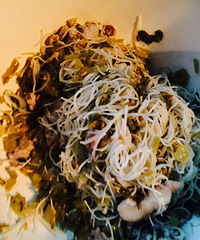 ����Ե�̫��  ����������ʳ�峦θ